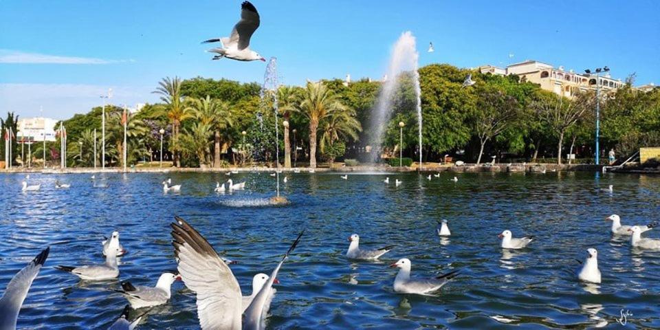 Torrevieja Experience Atico 1ª Linea公寓 外观 照片